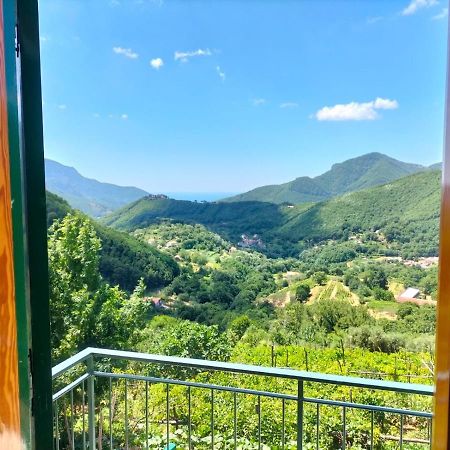 La Casa In Vigna Villa Tramonti Eksteriør bilde