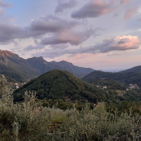 La Casa In Vigna Villa Tramonti Rom bilde