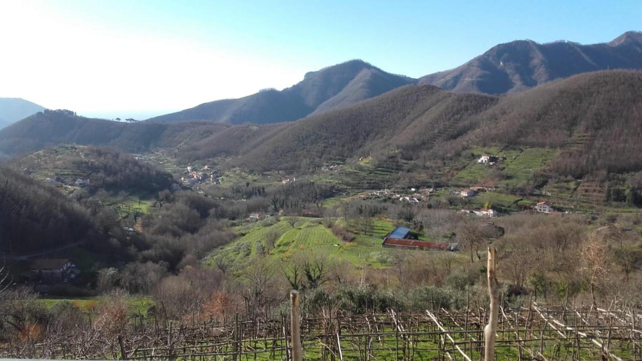 La Casa In Vigna Villa Tramonti Eksteriør bilde